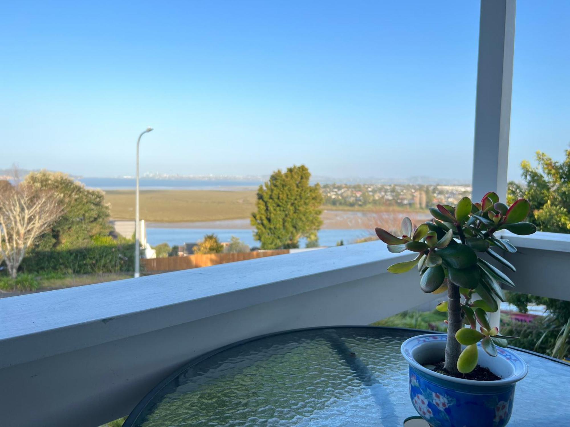 Auckland Sea&Skytower View Homestay With Free Netflix, Parking Ngoại thất bức ảnh